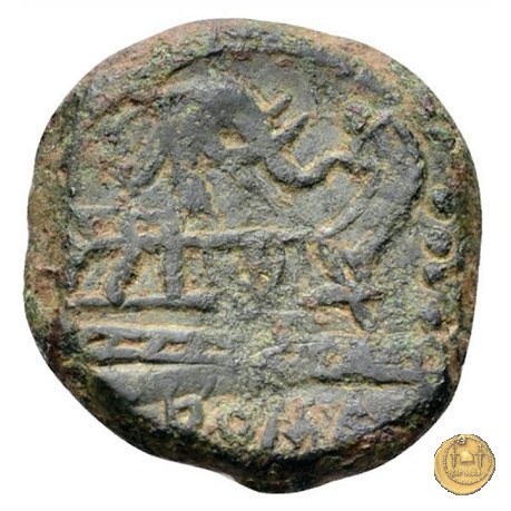 262/3 - triente L. Caecilius Q.f.Q.n. Metellus Diadematus 128 BC (Roma)