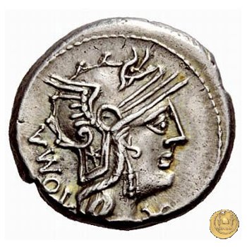 263/1 - denario M. Caecilius Q.f. Q.n. Metellus 127 BC (Roma)