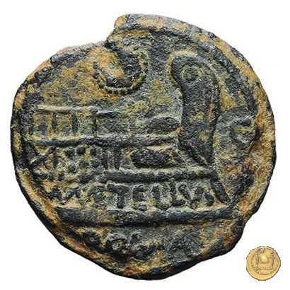 263/3 - semisse M. Caecilius Q.f. Q.n. Metellus 127 BC (Roma)