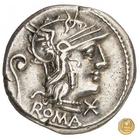 264/1 - denario C. Servilius Vatia 127 BC (Roma)