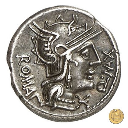 265/1 - denario Q. Fabius Maximus 127 BC (Roma)