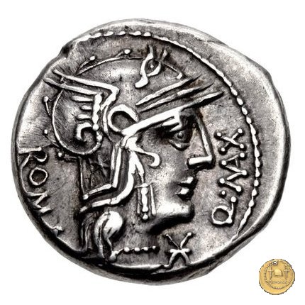 265/1 - denario Q. Fabius Maximus 127 BC (Roma)