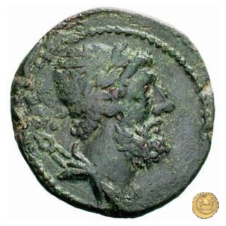 266/2 - dodrans C. Cassius 126 BC (Roma)