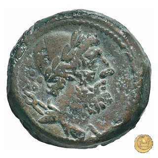 266/2 - dodrans C. Cassius 126 BC (Roma)