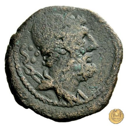 266/2 - dodrans C. Cassius 126 BC (Roma)