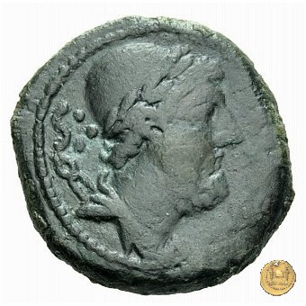 266/2 - dodrans C. Cassius 126 BC (Roma)