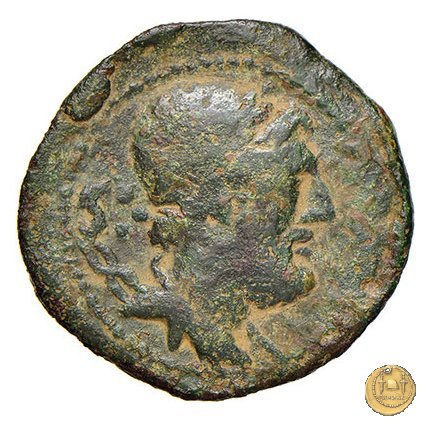 266/2 - dodrans C. Cassius 126 BC (Roma)