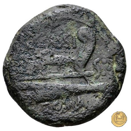 266/2 - dodrans C. Cassius 126 BC (Roma)