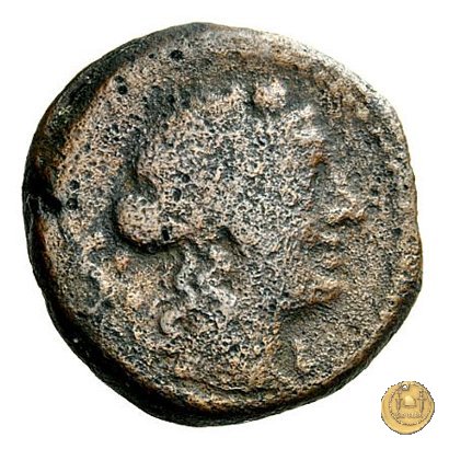 266/3 - bes C. Cassius 126 BC (Roma)