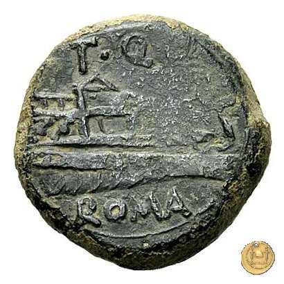 267/2 - semisse T. Quinctius Flamininus 126 BC (Roma)