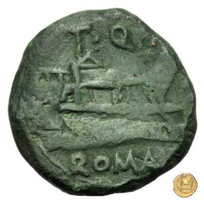 267/2 - semisse T. Quinctius Flamininus 126 BC (Roma)