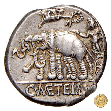 269/1 - denario C. Caecilius Metellus Caprarius 125 BC (Roma)