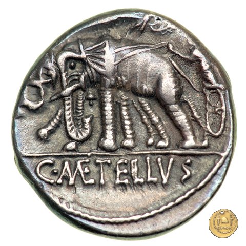 269/1 - denario C. Caecilius Metellus Caprarius 125 BC (Roma)