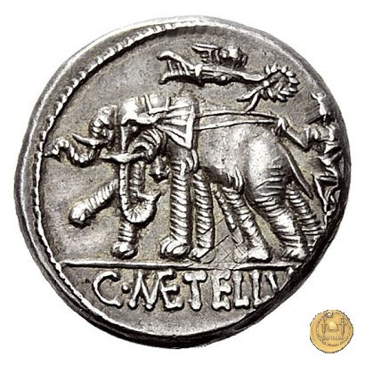 269/1 - denario C. Caecilius Metellus Caprarius 125 BC (Roma)