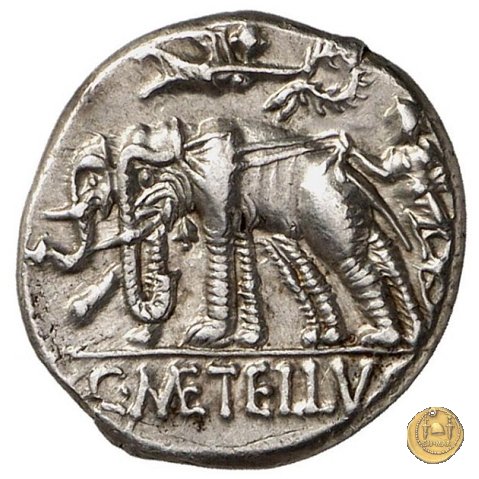 269/1 - denario C. Caecilius Metellus Caprarius 125 BC (Roma)