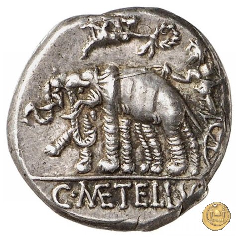 269/1 - denario C. Caecilius Metellus Caprarius 125 BC (Roma)