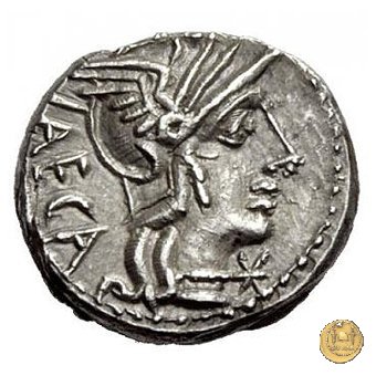 270/1 - denario M. Porcius Laeca 125 BC (Roma)