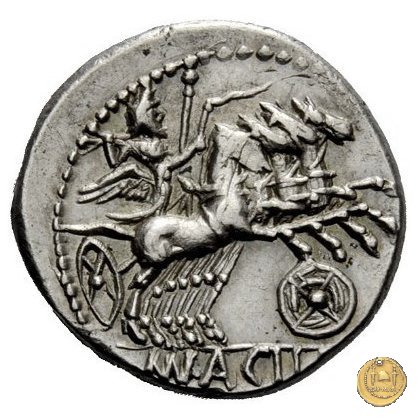 271/1 - denario Mn. Acilius Balbus 125 BC (Roma)