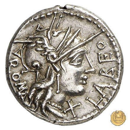 273/1 - denario Q. Fabius Labeo 124 BC (Roma)