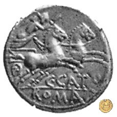 274/1 - denario C. Porcius Cato 123 BC (Roma)