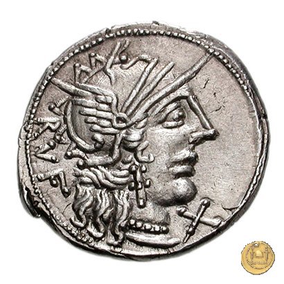 277/1 - denario Q. Minucius Rufus 122 BC (Roma)