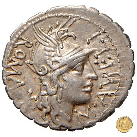 282/1 - denario M. Aurelius Scaurus 118 BC (Narbo)