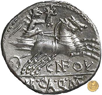 284/1 - denario Cn. Fulvius / M. Calidius / Q. Caecilius Metellus 117-116 BC (Roma)