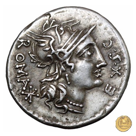 286/1 - denario M. Sergius Silus 116-115 BC (Roma)