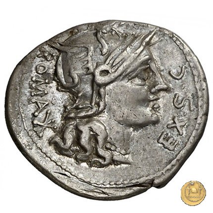 286/1 - denario M. Sergius Silus 116-115 BC (Roma)