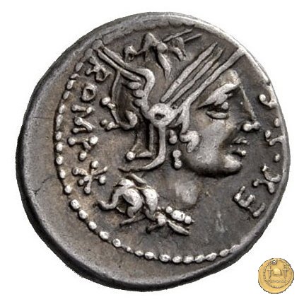 286/1 - denario M. Sergius Silus 116-115 BC (Roma)