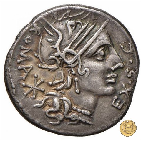 286/1 - denario M. Sergius Silus 116-115 a.C. (Roma)