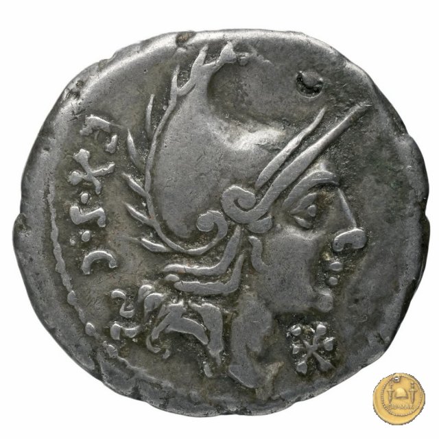 288/1 - denario P. Cornelius Cetegus 115-114 BC (Roma)