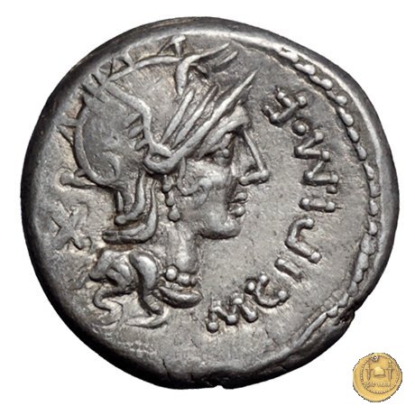 289/1 - denario M. Cipius M.f. 115-114 BC (Roma)