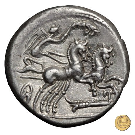 289/1 - denario M. Cipius M.f. 115-114 BC (Roma)