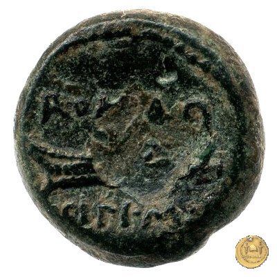 289/5 - oncia M. Cipius M.f. 115-114 BC (Roma)