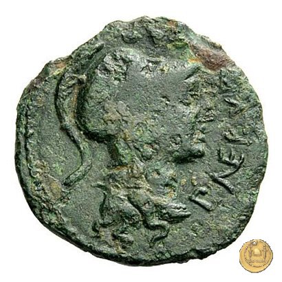 292/3 - triente P. Licinius Nerva 113-112 a.C. (Roma)