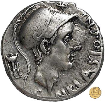 296/1 - denario Cn. Cornelius Blasio 112-111 BC (Roma)