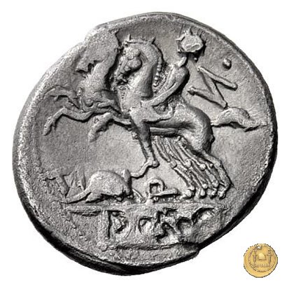 297/1 - denario Ti. Quinctius 112-111 BC (Roma)