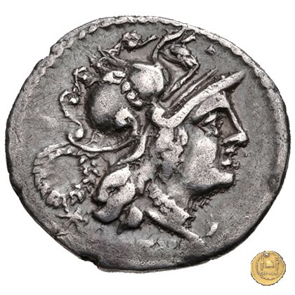 2a - Dioscuri impennati 90 BC (Corfinium)