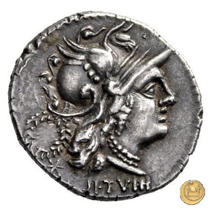 2a - Dioscuri impennati 90 BC (Corfinium)