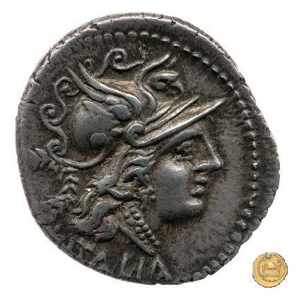 2b - Dioscuri impennati 90 BC (Corfinium)