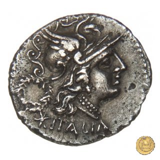 2b - Dioscuri impennati 90 BC (Corfinium)