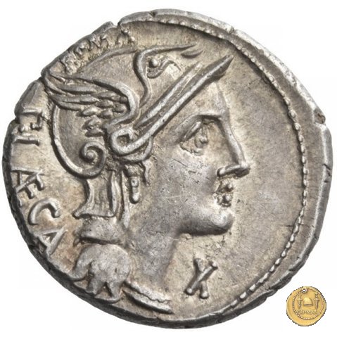 301/1 - denario P. Porcius Laeca 110-109 BC (Roma)