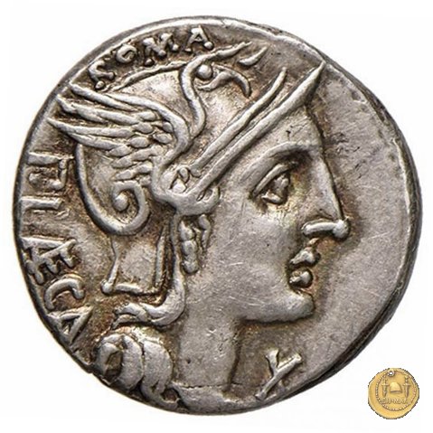 301/1 - denario P. Porcius Laeca 110-109 BC (Roma)