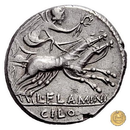 302/1 - denario L. Flaminius Chilo 109-108 BC (Roma)