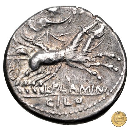 302/1 - denario L. Flaminius Chilo 109-108 BC (Roma)