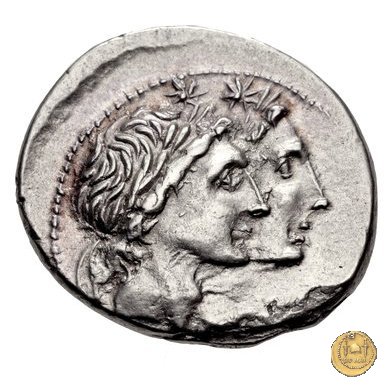 307/1 - denario Mn. Fonteius 108-107 BC (Roma)