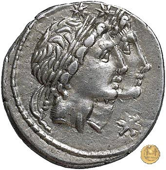 307/1 - denario Mn. Fonteius 108-107 BC (Roma)