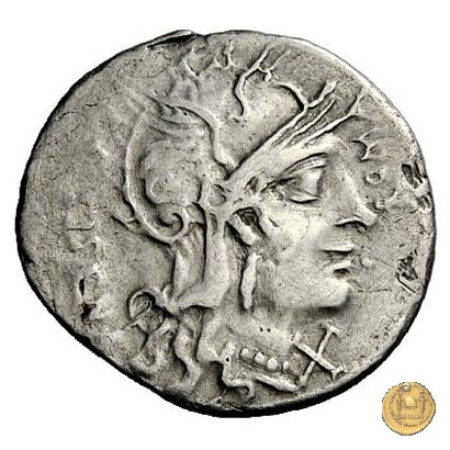 310/1 - denario Cn. Cornelius L.f. Sisenna 118-107 BC (Roma)