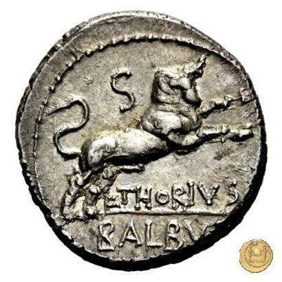 316/1 - denario L. Thorius Balbus 105 BC (Roma)